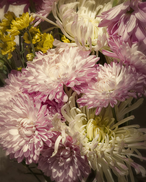 2007-04-01MountainView-8981