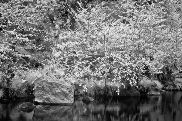 2007-04-14-Sunol-8557