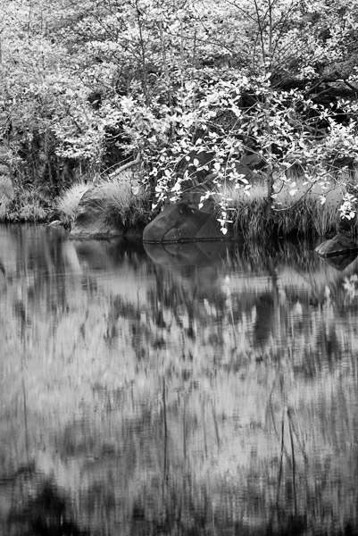 2007-04-14-Sunol-8569