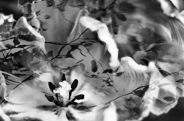 2007-04-25-Sunol-8608C