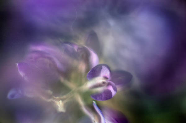 2007-04-27 Versace-9114