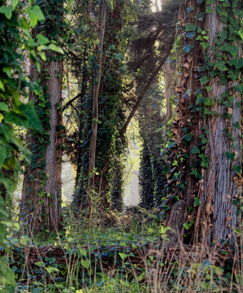 2007-04-27-Versace-9151