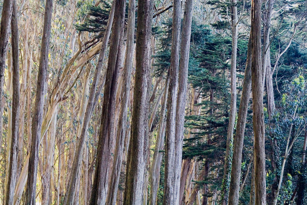 2007-04-27-Versace-9161