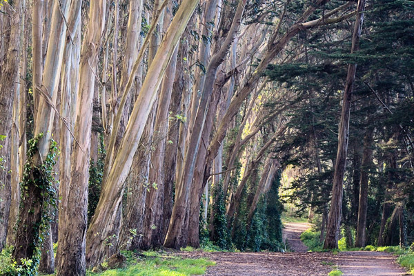 2007-04-27-Versace-9170