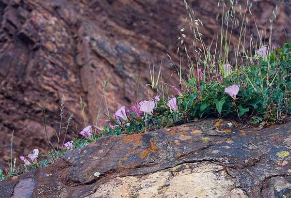 2007-04-27-Versace-9198