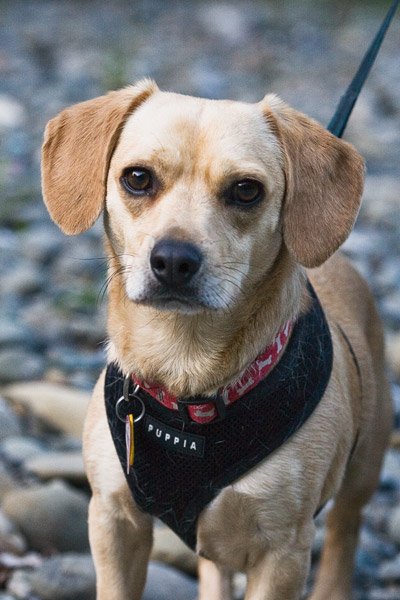 2007-04-29-Sunol-9240