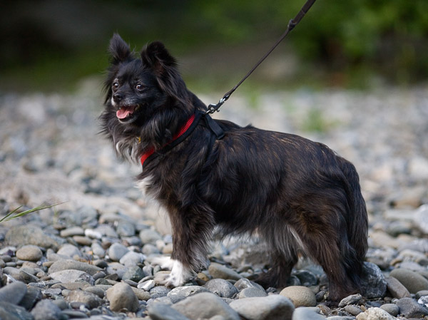 2007-04-29-Sunol-9248