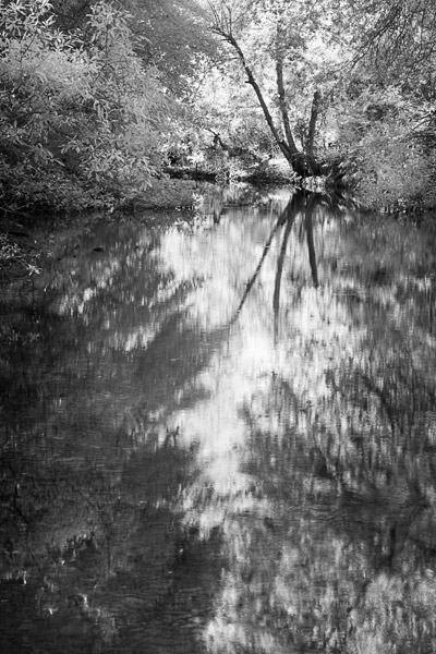 2007-05-010-Sunol-0064