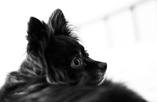 2007-05-04-Home-8649