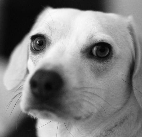 2007-05-04-Home-8652