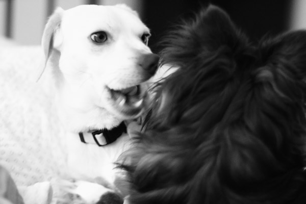 2007-05-04-Home-8657