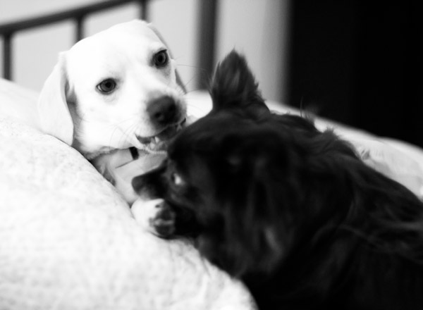 2007-05-04-Home-8659