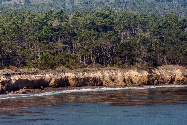 2007-05-05-Point-Lobos-9520