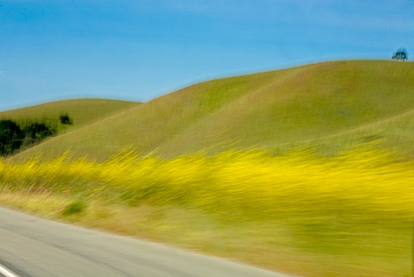 2007-05-05-Point-Lobos_MG_9281