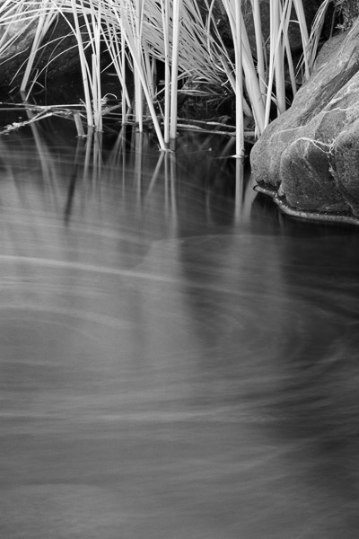 2007-05-07-Sunol-0012