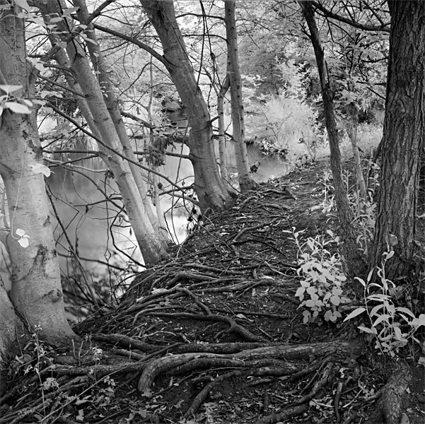 2007-05-13-Sunol-0175P