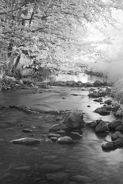 2007-05-18-Sunol-0196