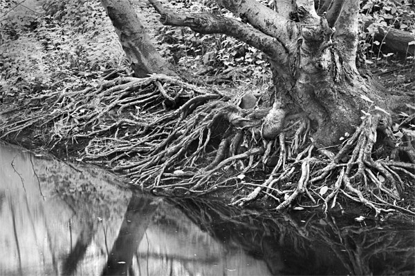 2007-05-18-Sunol-0232PB