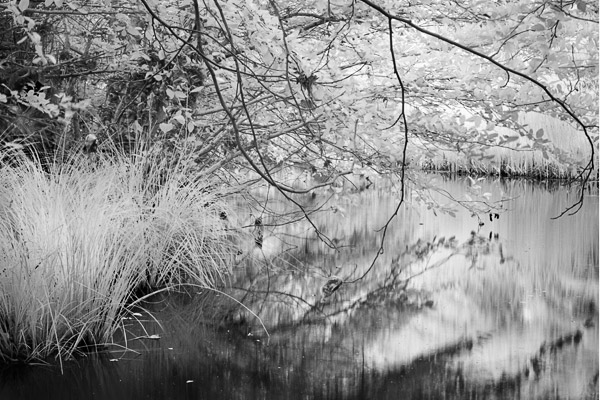 2007-05-18-Sunol-0248