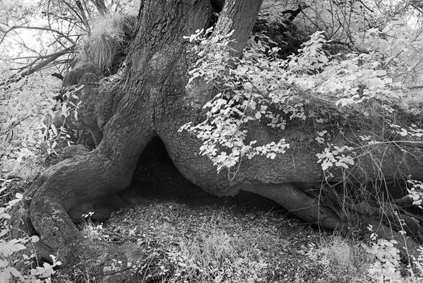 2007-05-21-Sunol-0460P