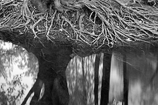 2007-05-21-Sunol-0493P