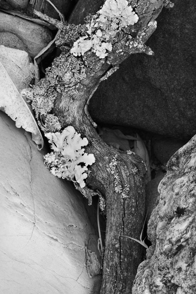 2007-05-28-Sunol-0559