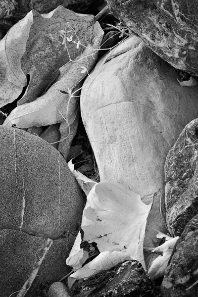 2007-05-28-Sunol-0562