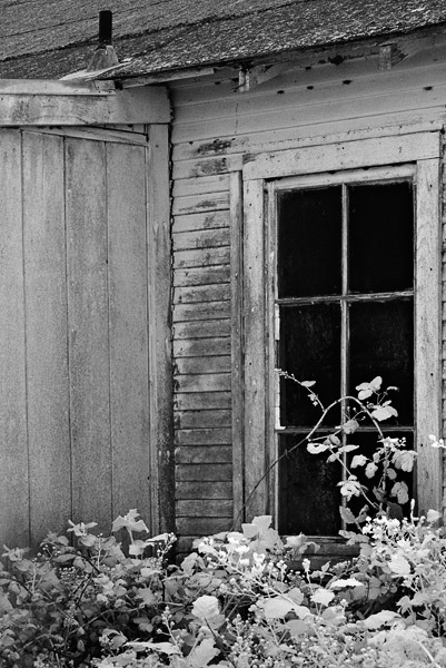 2007-06-02-Pt-Reyes-0611