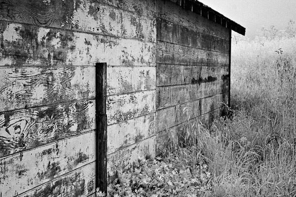 2007-06-02-Pt-Reyes-0614