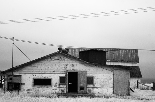 2007-06-02-Pt-Reyes-0620
