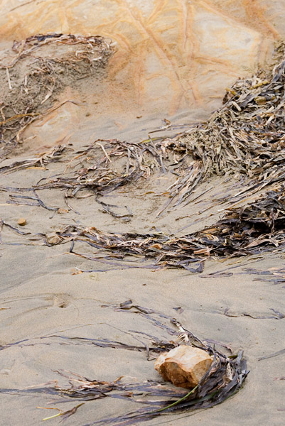 2007-06-02-Pt-Reyes-9684