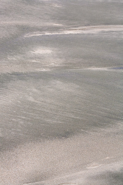 2007-06-02-Pt-Reyes-9692