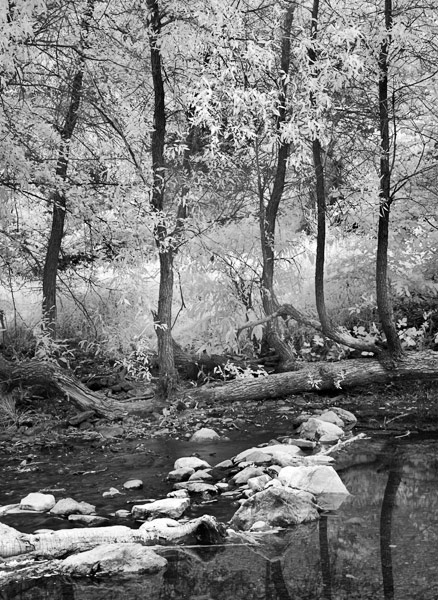 2007-06-05-Sunol-0685