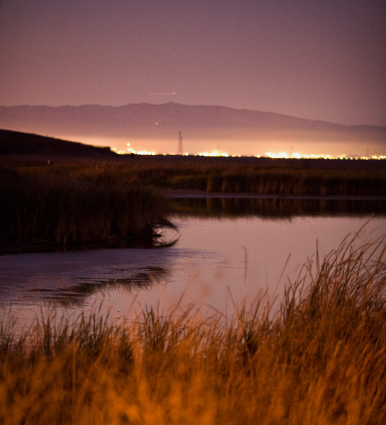 2007-07-04-Baylands-9961