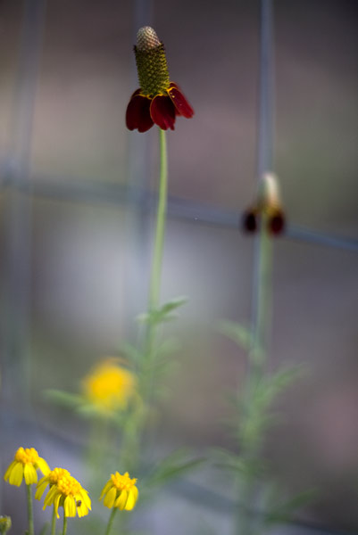 2007-07-14-Santa-Fe-0301