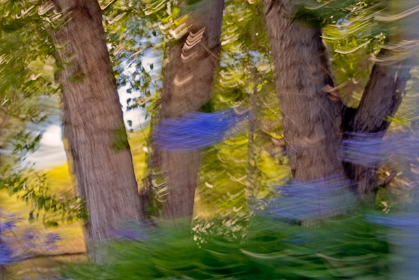 2007-07-21-Home-0423