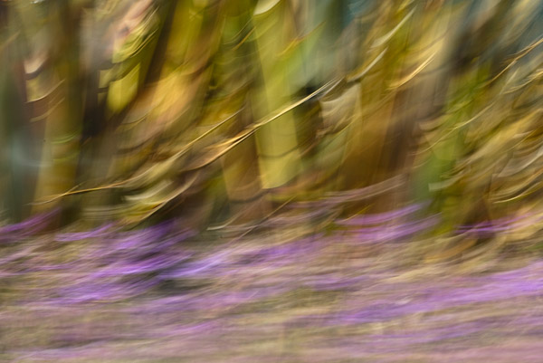 2007-07-21-Home-0602