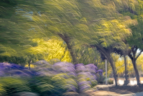 2007-07-21-Home-0642A