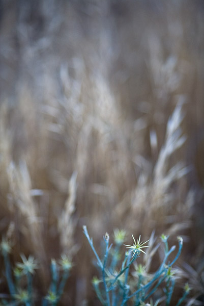 2007-07-21-Home-0681