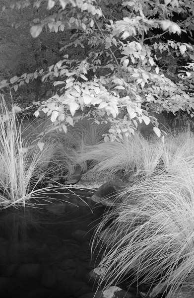 2007-07-21-Home-0765