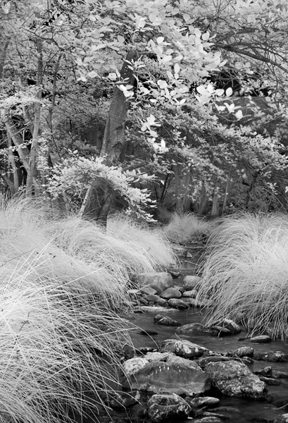 2007-07-21-Home-0780