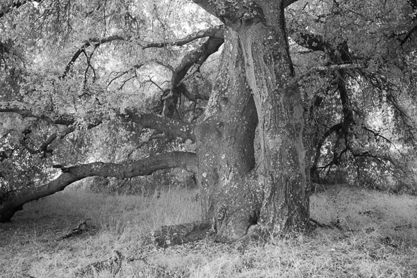 2007-07-21-Home-0792