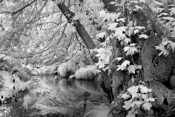 2007-07-25-Sunol-0829