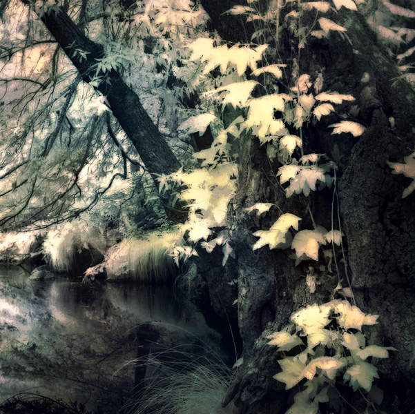 2007-07-25-Sunol-0829AC2