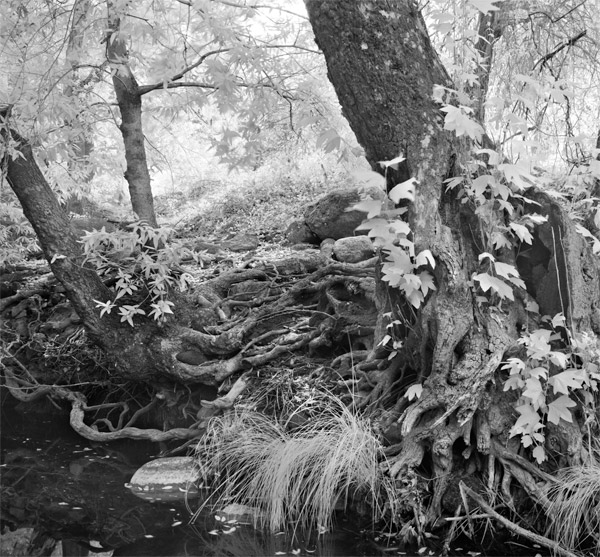 2007-07-25-Sunol-0849P