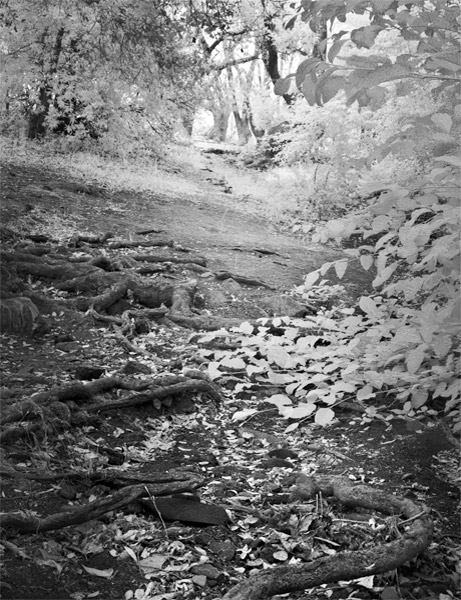 2007-07-25-Sunol-0880