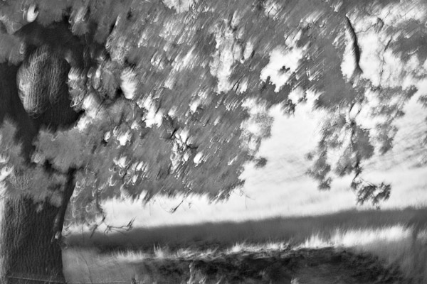 2007-07-25-Sunol-0949