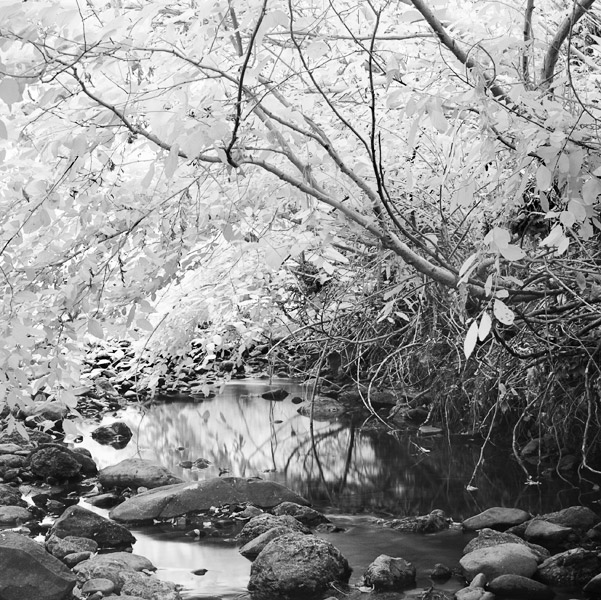 2007-07-26-Sunol-0977
