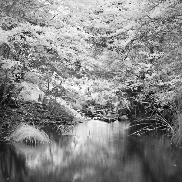 2007-07-28-Sunol-1022A