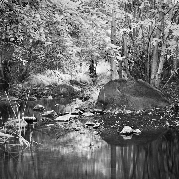 2007-07-28-Sunol-1025